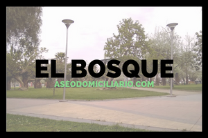 municipalidad-El Bosque-pago-aseo-domiciliario