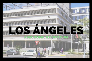 Aseo domiciliario Los Ángeles